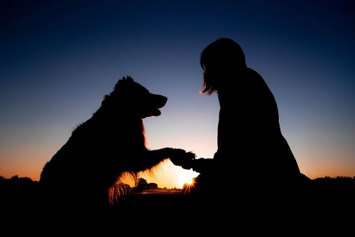 Silhouette eines Hundes mit seiner Besitzerin bei Sonnenaufgang