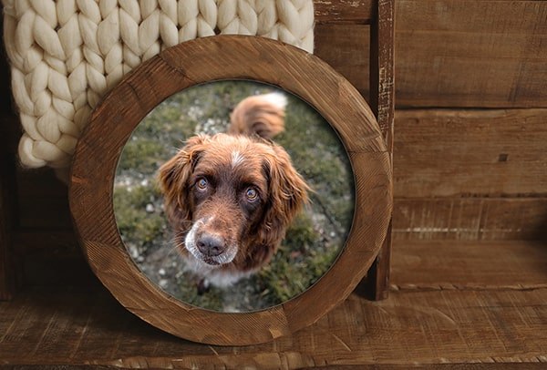 Handgefertigtes rundes Holzbild mit Rahmen