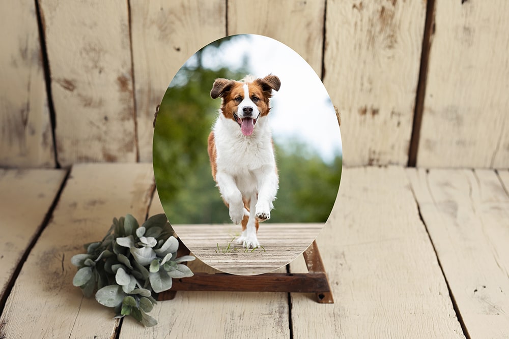 ovales Holzbild mit laufendem Hund auf Staffelei