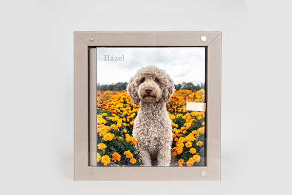 gerahmtes Fotoalbum mit einem Coverbild eines Labradoodles im Blumenfeld steht vor einem grauen Hintergrund