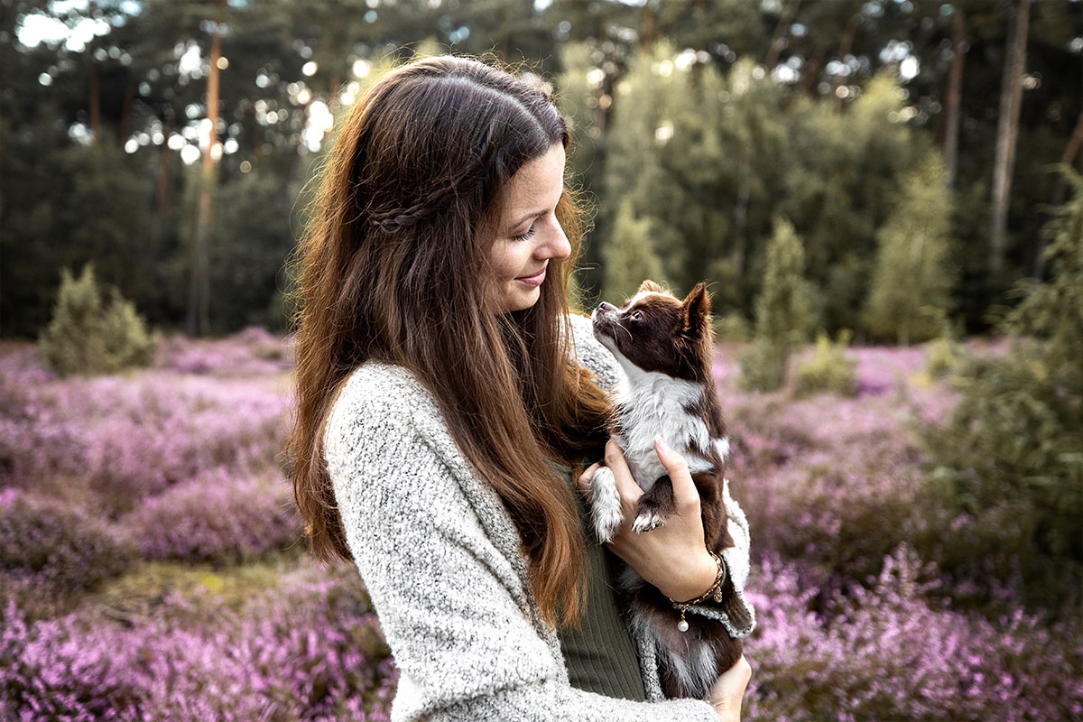 brünette Frau mit braunem Chihuahua auf dem Arm steht in der Heide