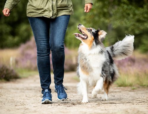 Nicht mit drauf und doch dabei