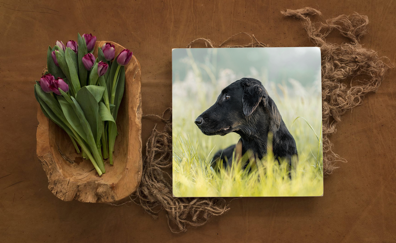 quadratischer Photoblock aus Holz mit einem Flat Coated Retriever liegt neben einer Schale mit Tulpen