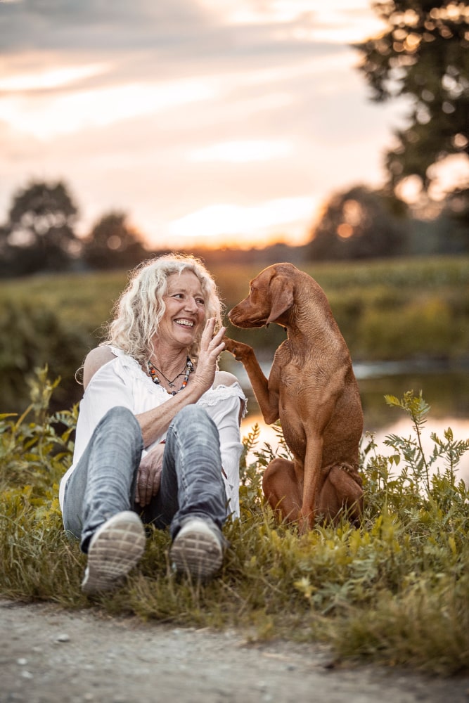 hund gibt pfötchen sonnenuntergang warendorf