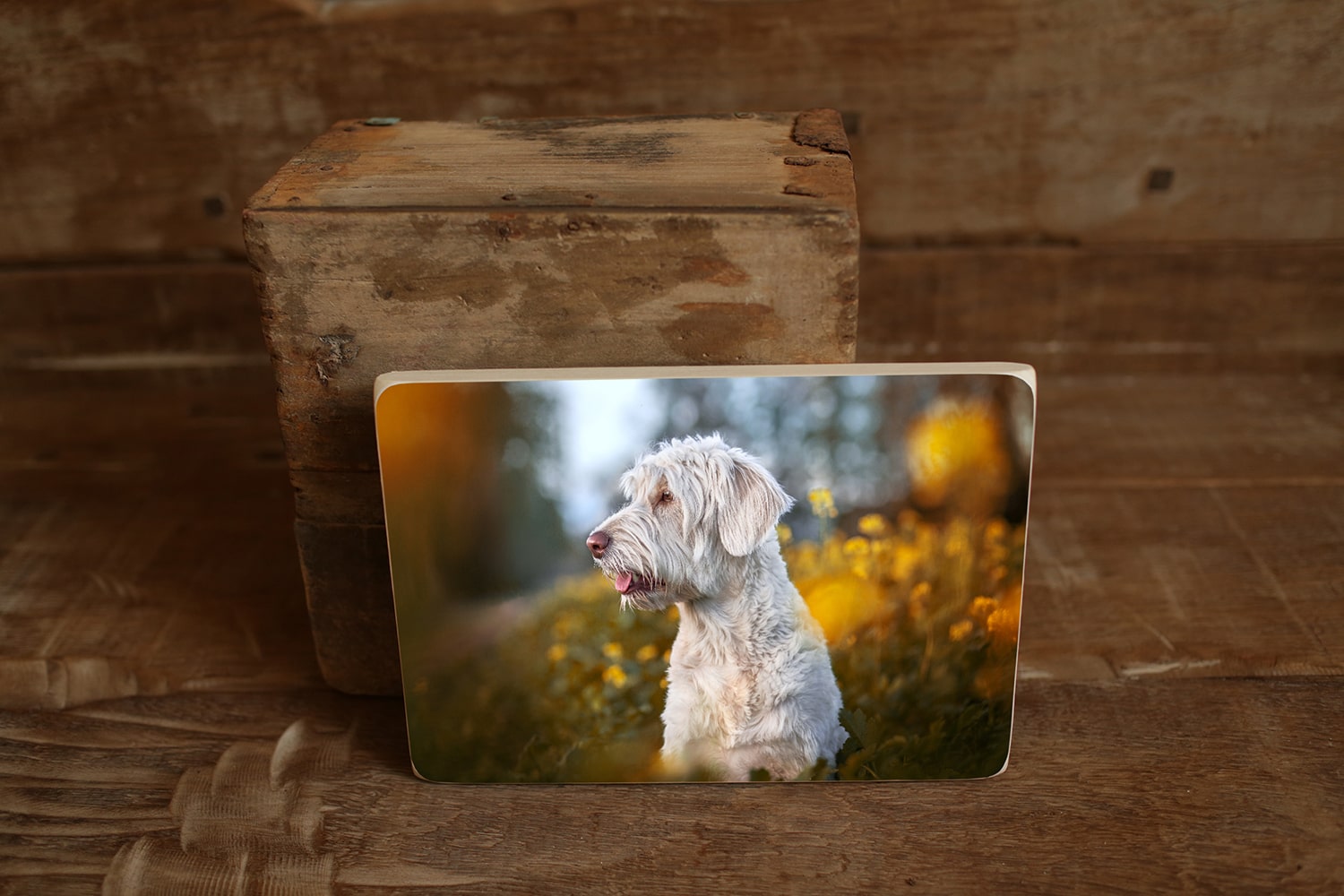 Photoblocks (4) web-min