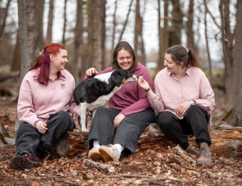 Was ziehe ich an zum Hundefotoshooting?