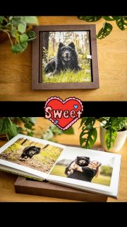Koda, Nadine und ich hatten jede Menge Spaß beim Regenbogen Fotoshooting mit dem Hundeopi 🥰 @kodasnadine