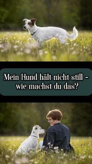 Free the doggies 🥰 damit ihr euren Hund auf den Bildern auch wiedererkennt und dein Hund das ganze Shooting über Spaß hat

#münsterlandhunde
#münsterhundefotografie
#nrwhunde
#hundefotografie
#tierfotografie
#hundeglück
#seelenhund
#herzenshund
#lebenmithund
#erinnerungenfürimmer
#hundemomente
#hundeliebe 

Deine Julia
Hundefotografin in Warendorf, Münsterland und ganz NRW
Für Hundeeltern, deren Hund nicht nur Hund ist, sondern Familie