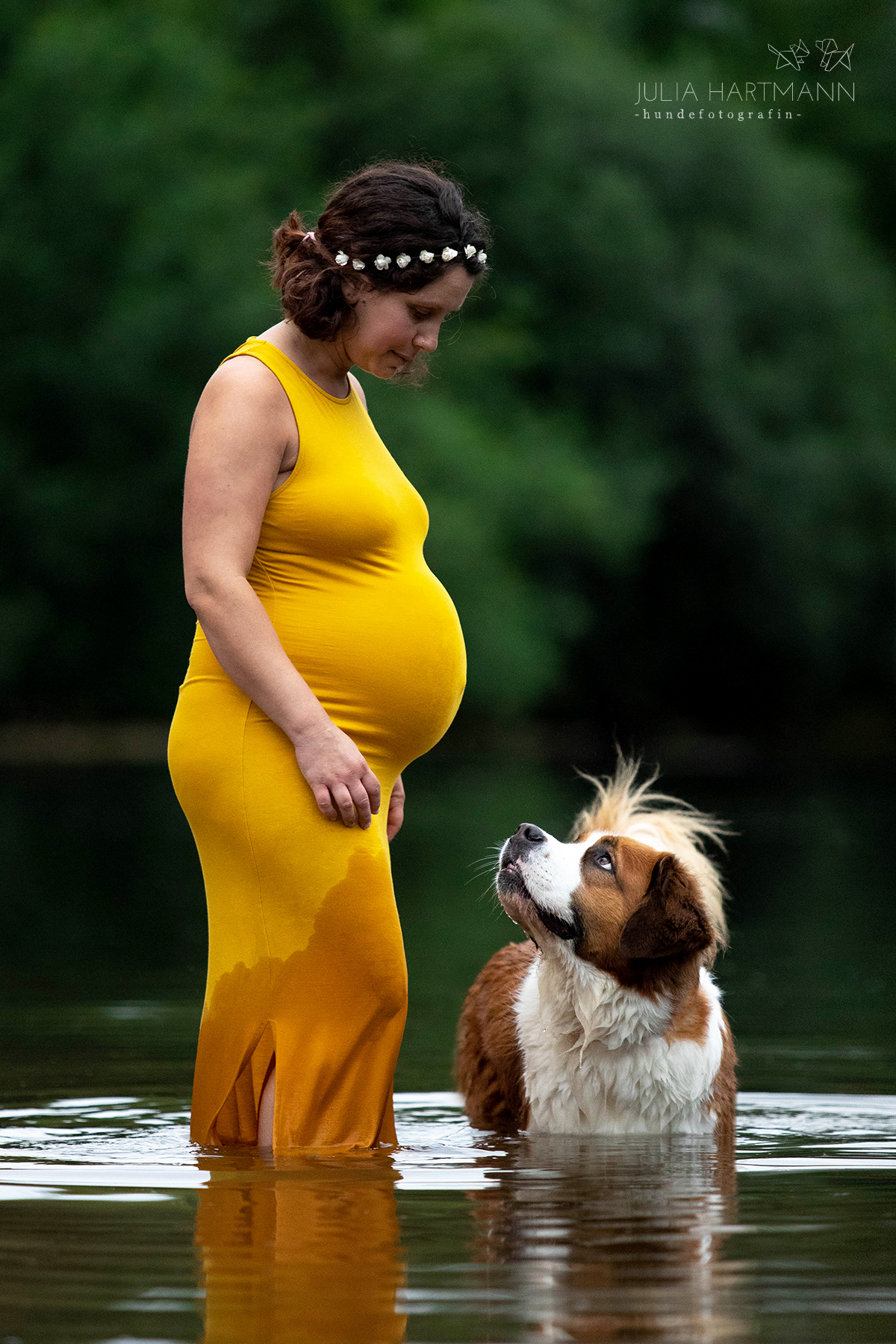 babybauch-shooting-hund-ems-beelen-abendlicht Schwangere mit Hund im Wasser Babybauch Fotoshooting Münsterland NRW
