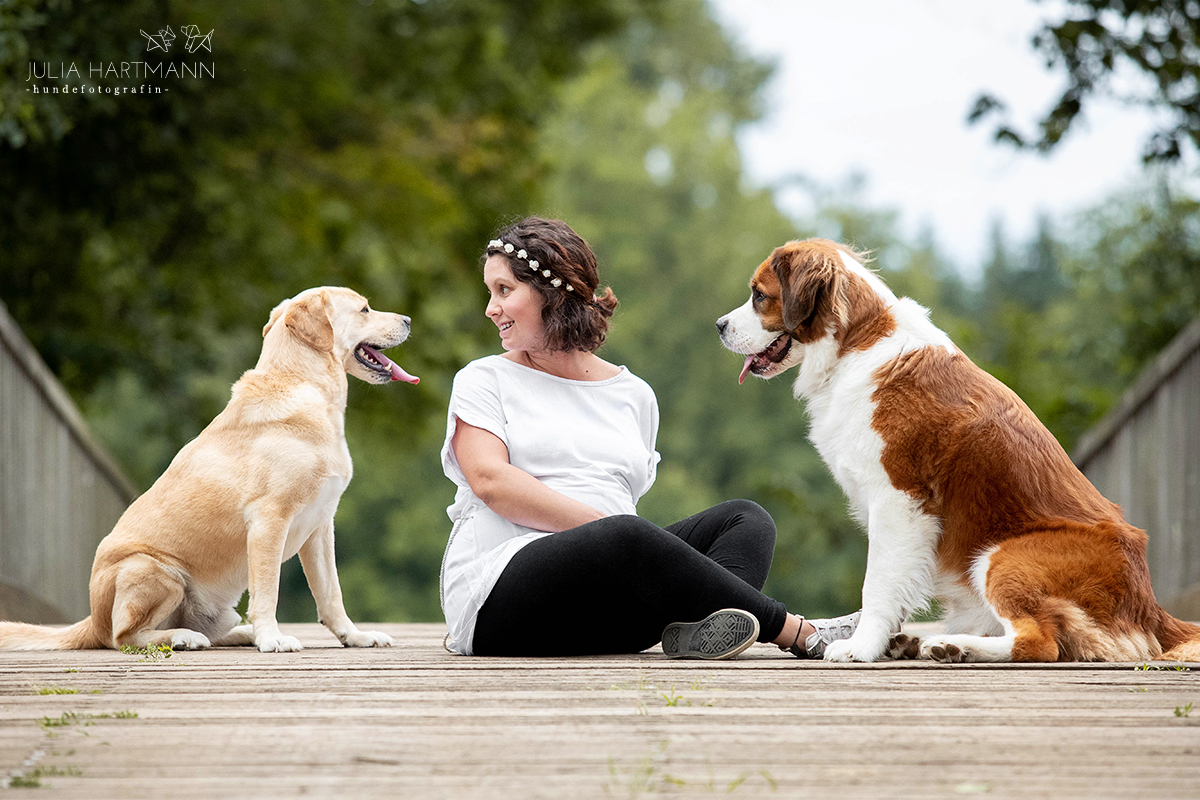 babybauch-shooting-zwei-hunde-muensterland Schwangerschaftsshooting mit Hund im Wasser Outdoor Münsterland