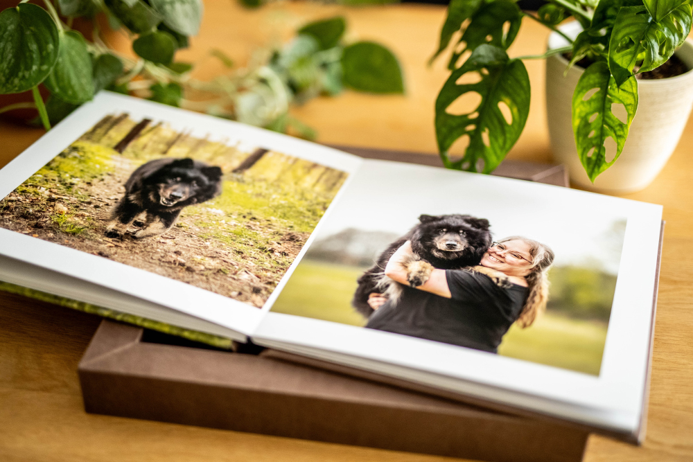 Fotoprodukt Hundefotografie gerahmtes Album Warendorf Münsterland