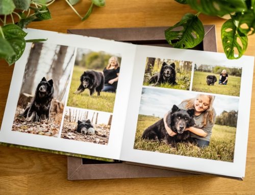 Regenbogen Fotoshooting mit Eurasier Koda