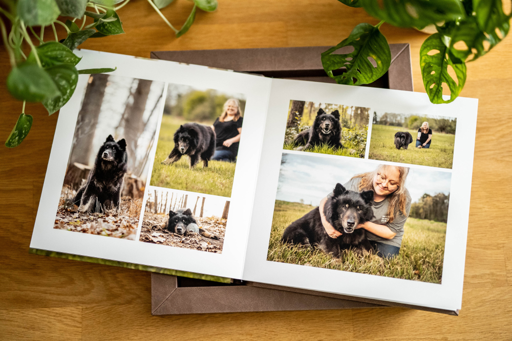 Gerahmtes Fotoalbum Regenbogenshooting Hund Julia Hartmann Hundefotografin