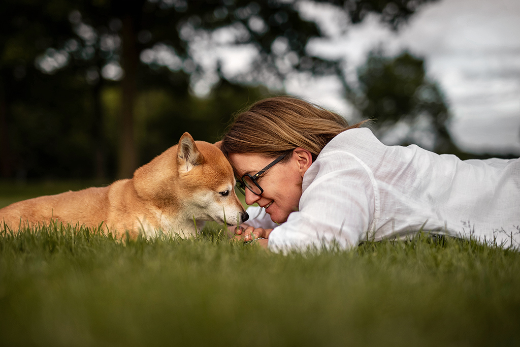 hundefotoshooting-happycaps-shiba-inu-ari-warendorf