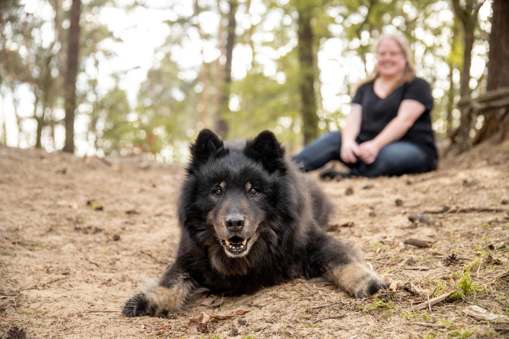 Regenbogenfotoshooting Hund in der Natur Münsterland