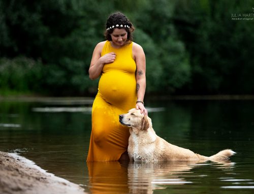 Babybauch Shooting mit Hund