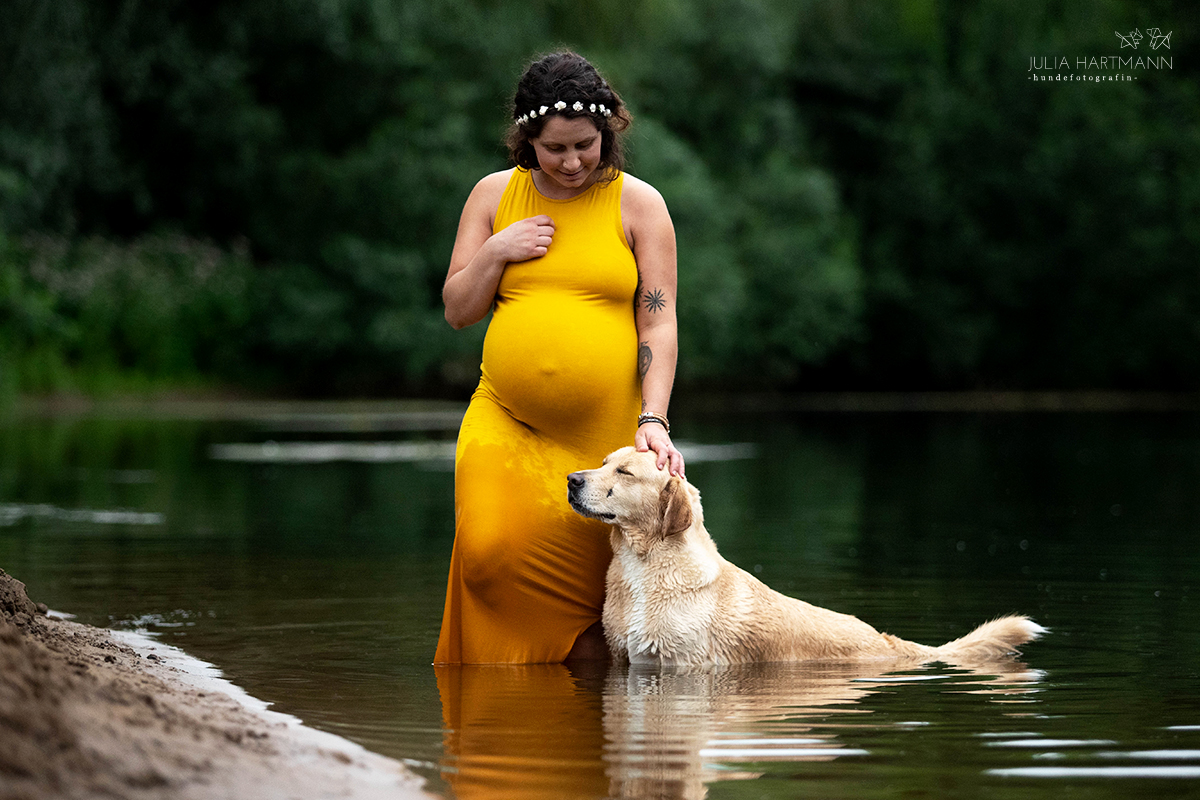 schwangerschaftsshooting-hund-wasser-muensterland Tierschutzhund beim Babybauch Shooting Beelen NRW