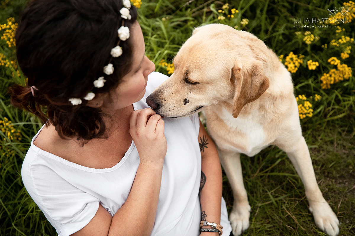 schwangerschaftsshooting-outdoor-hund-nrw Babybauch Shooting mit Hund an der Ems Beelen Münsterland Abendlicht