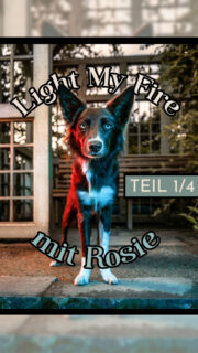 Teil 1/4 meiner Light My Fire Shootings stand an und Rosie traute sich als erste vor die Kamera 🧡