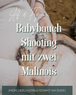 Soo ein wunderschönes Shootings mit den beiden energiegeladenen Malinois Alf & Fly und dem süßen Pärchen Carina & Constantin mit der kleinen Murmel 🥰🧡
Ich freue mich immer wieder sehr, wenn ich Menschen und ihre Hunde über eine längere Zeit begleiten darf und die beiden waren nun schon das 4. Mal bei mir 🫶

#hundefotografmünste
#hundefotoshooting
#shootingmithund
#erinnerungenmithund
#hundebesitzer
#hundefreundemünster
#babybauchshootingmithund

 
Deine Julia
Hundefotografin in Warendorf, Münsterland und ganz NRW
Für Hundeeltern, deren Hund nicht nur Hund ist, sondern Familie